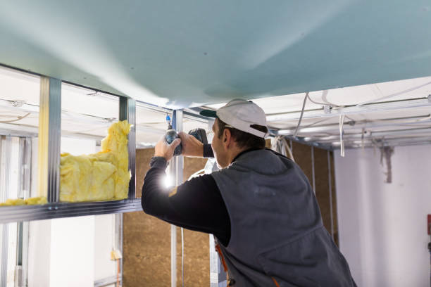Best Cellulose Insulation in Foster City, CA